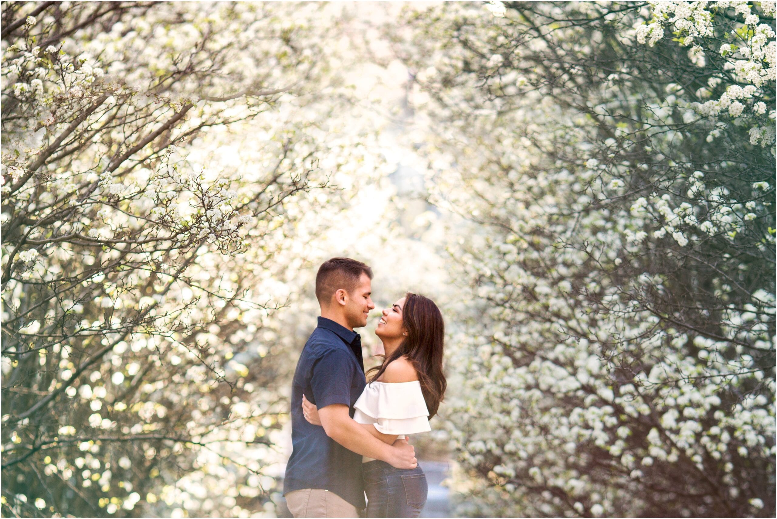 millennium park engagement photos